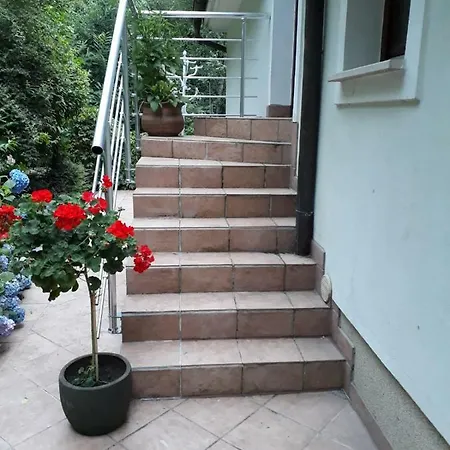 Apartma Dolomiti *